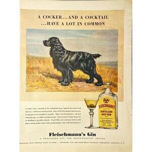Fleischmann's Gin Cocker Spaniel _Cocker and Cocktail have a lot in Common" Ad